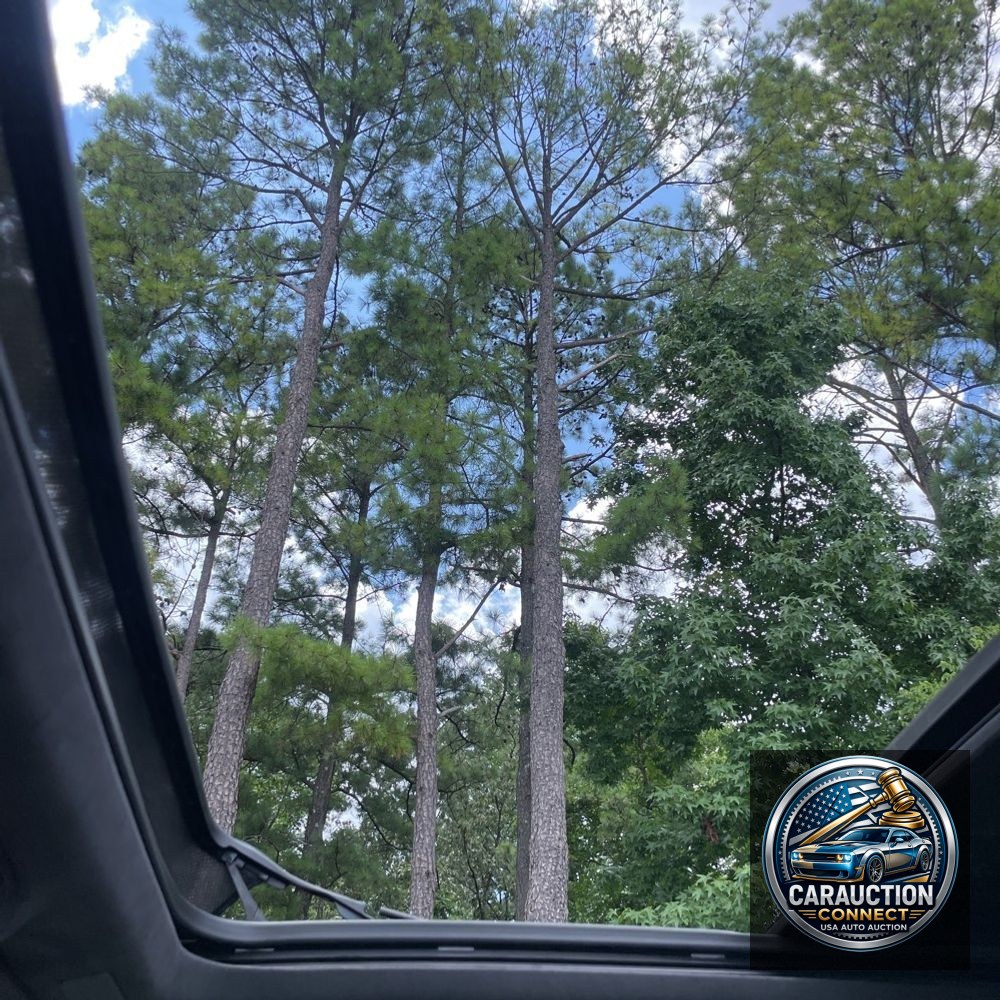 2025 Cadillac Escalade ESV Sport Platinum