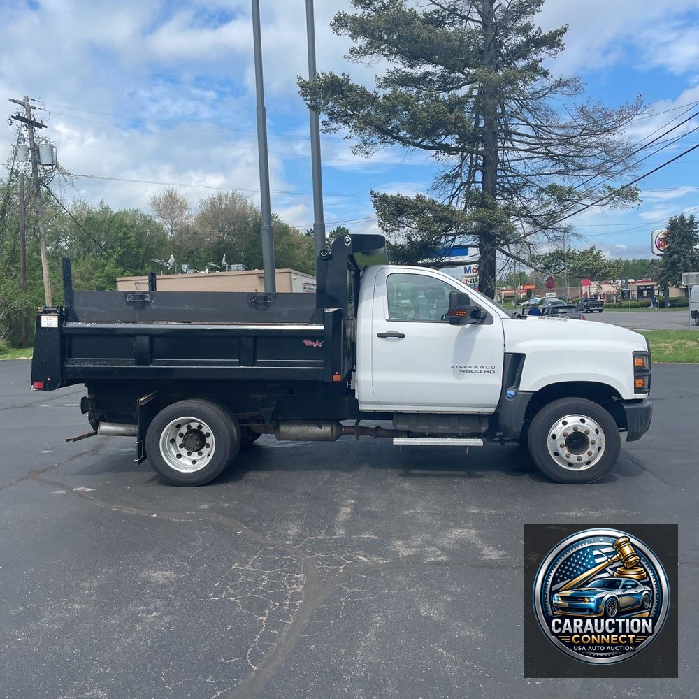 2019 Chevrolet Silverado 4500 W/T