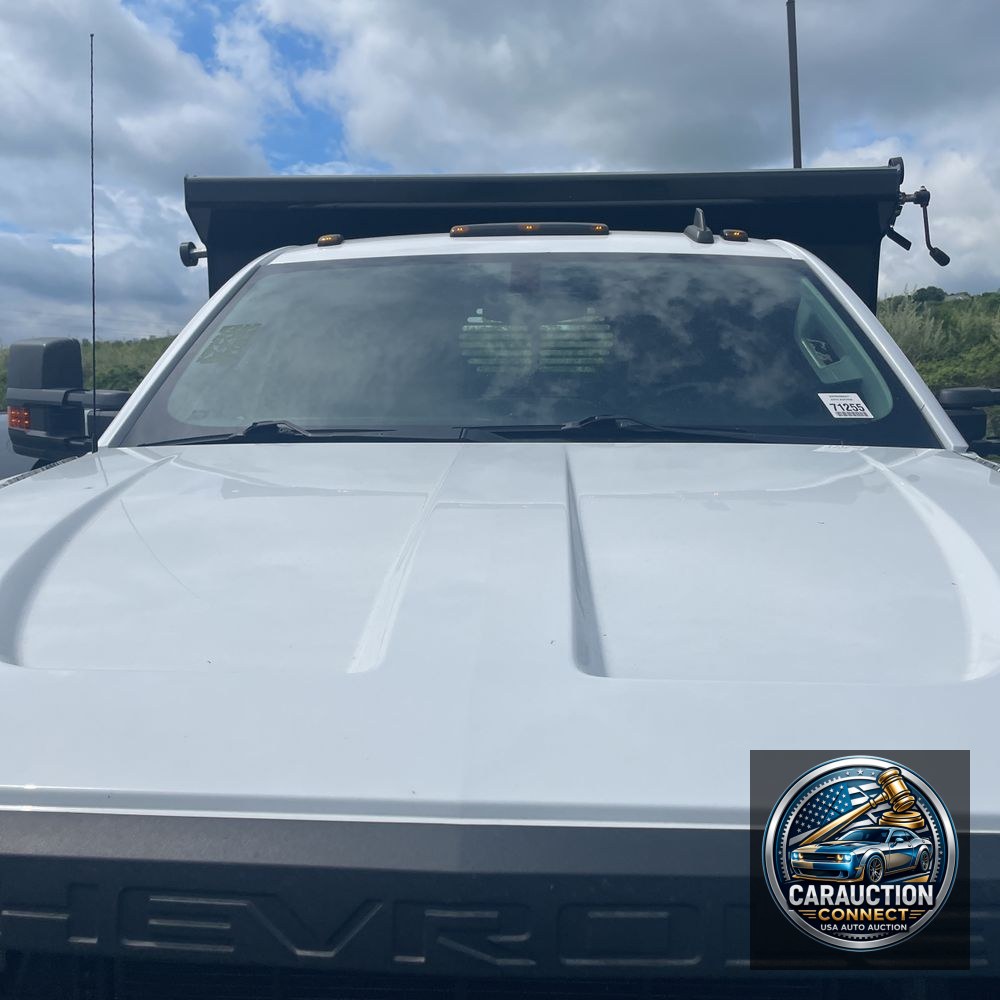 2019 Chevrolet Silverado 4500 W/T