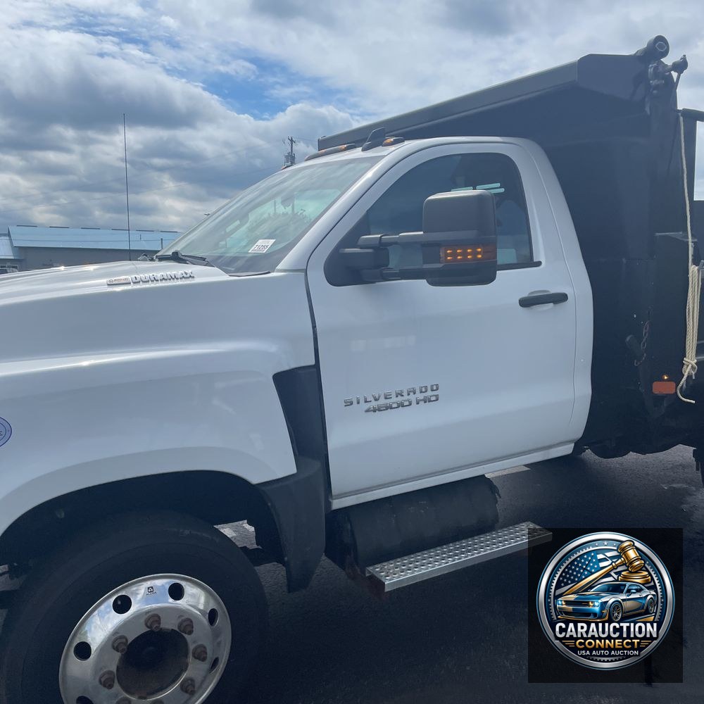 2019 Chevrolet Silverado 4500 W/T