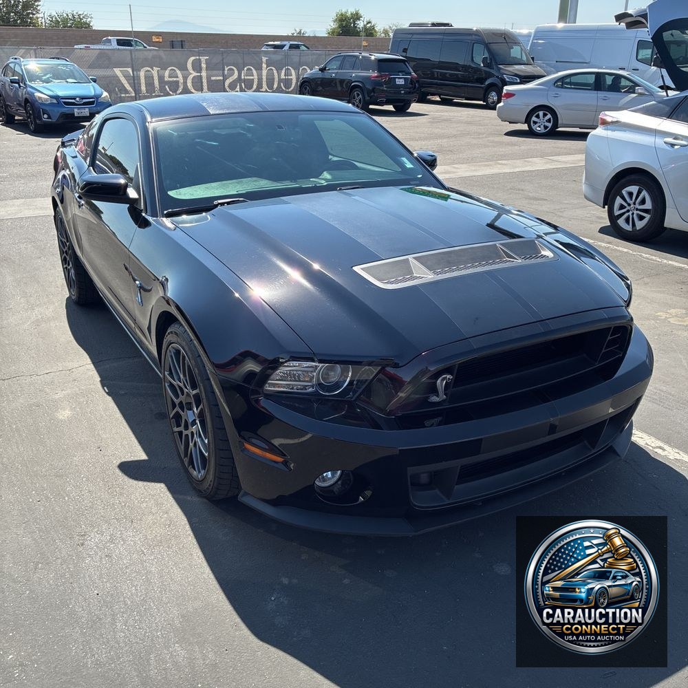 2013 Ford Shelby GT500 Base