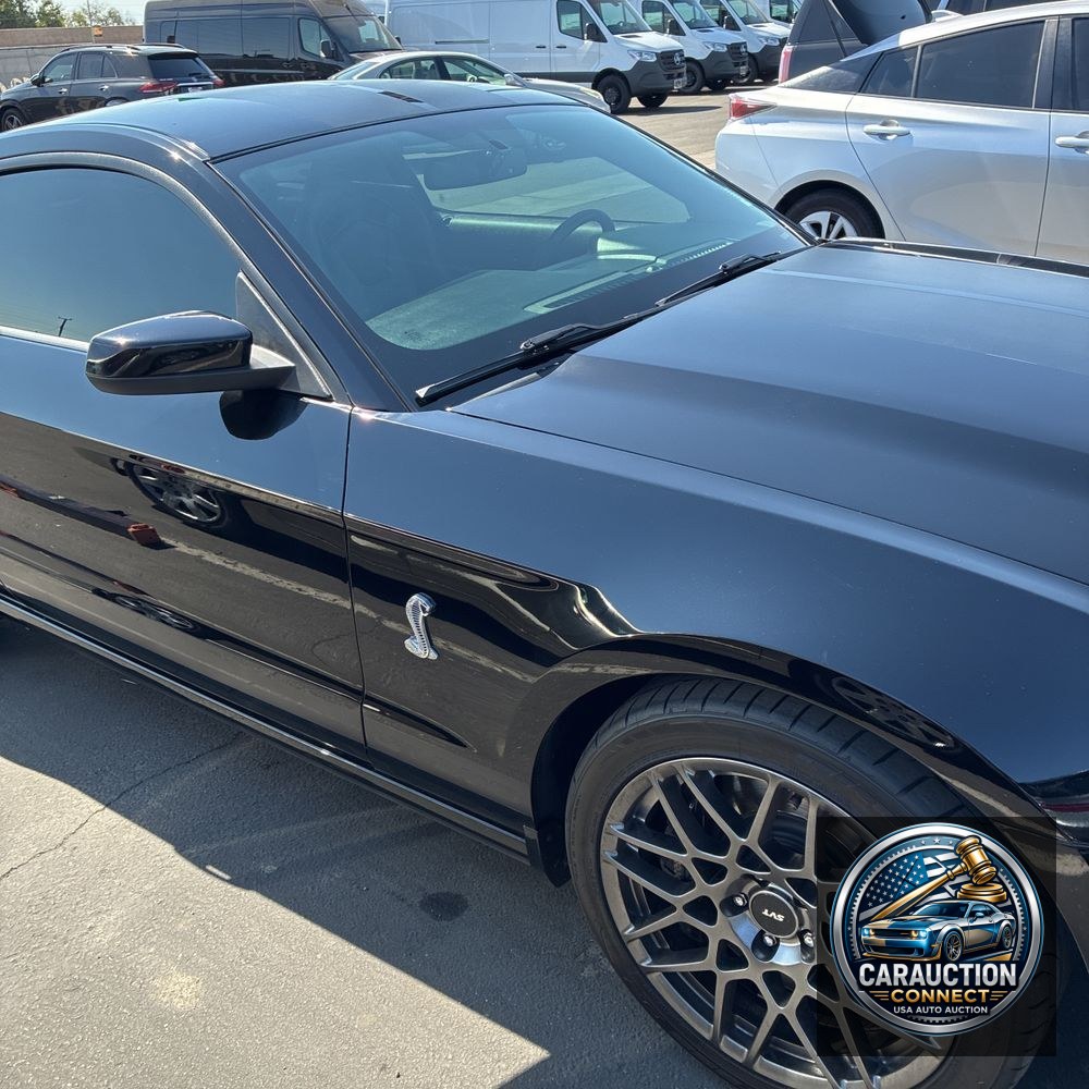 2013 Ford Shelby GT500 Base