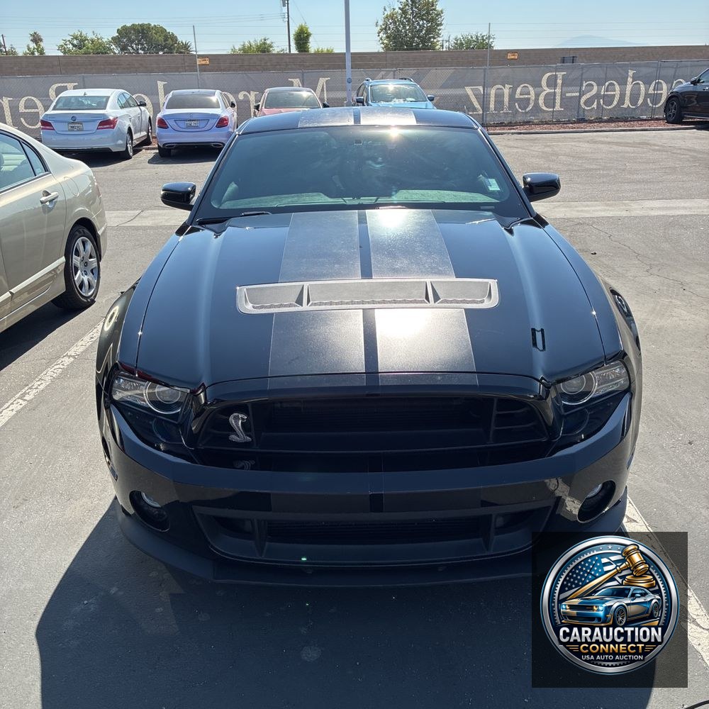 2013 Ford Shelby GT500 Base