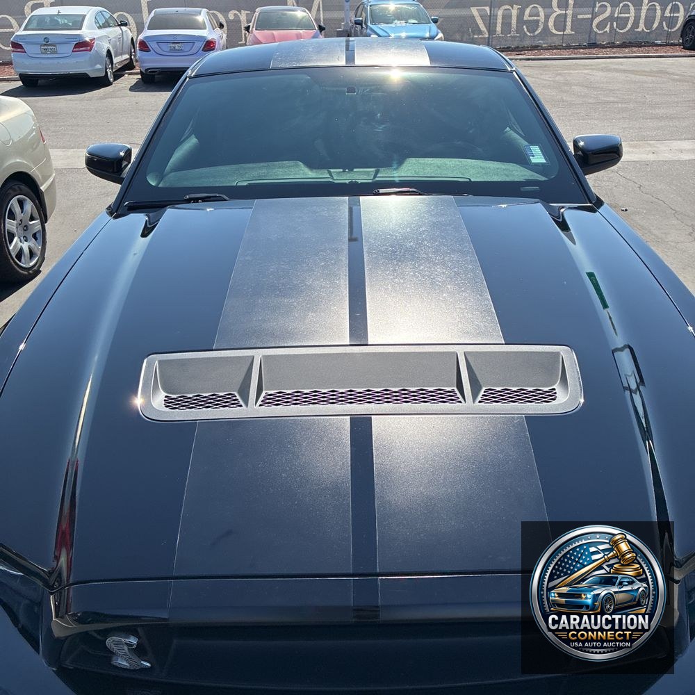 2013 Ford Shelby GT500 Base