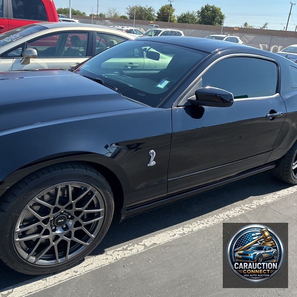 2013 Ford Shelby GT500 Base