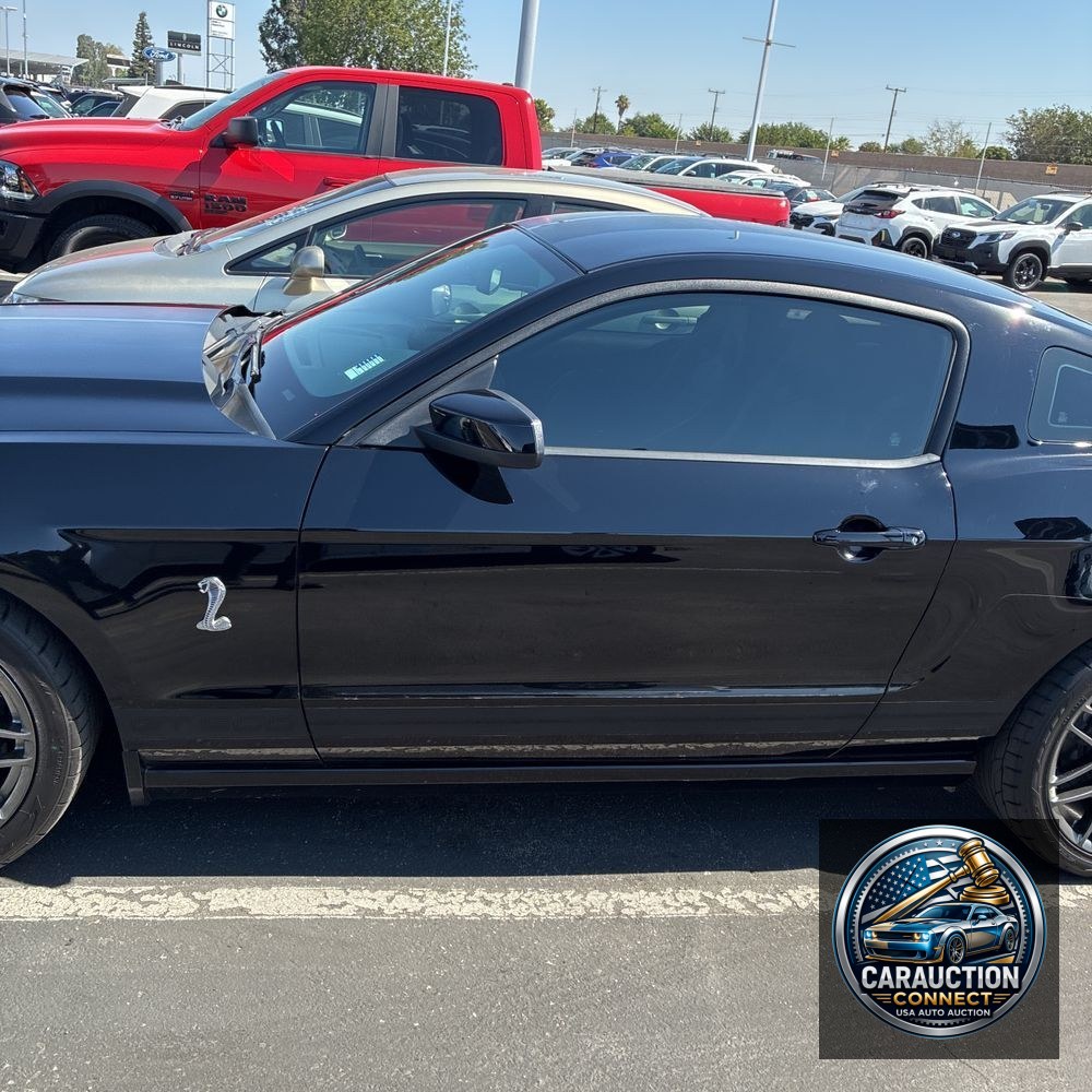 2013 Ford Shelby GT500 Base