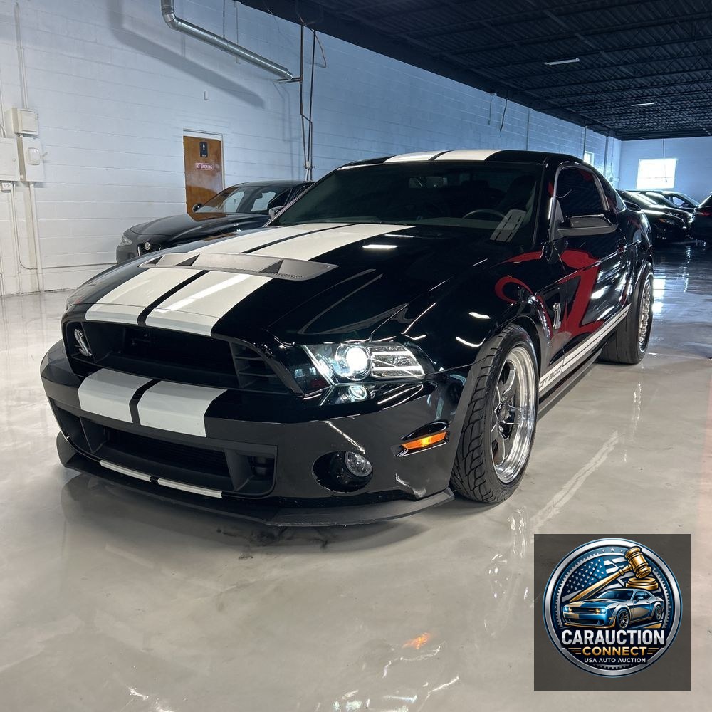2014 Ford Shelby GT500 Base