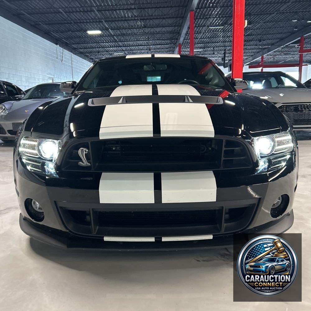 2014 Ford Shelby GT500 Base