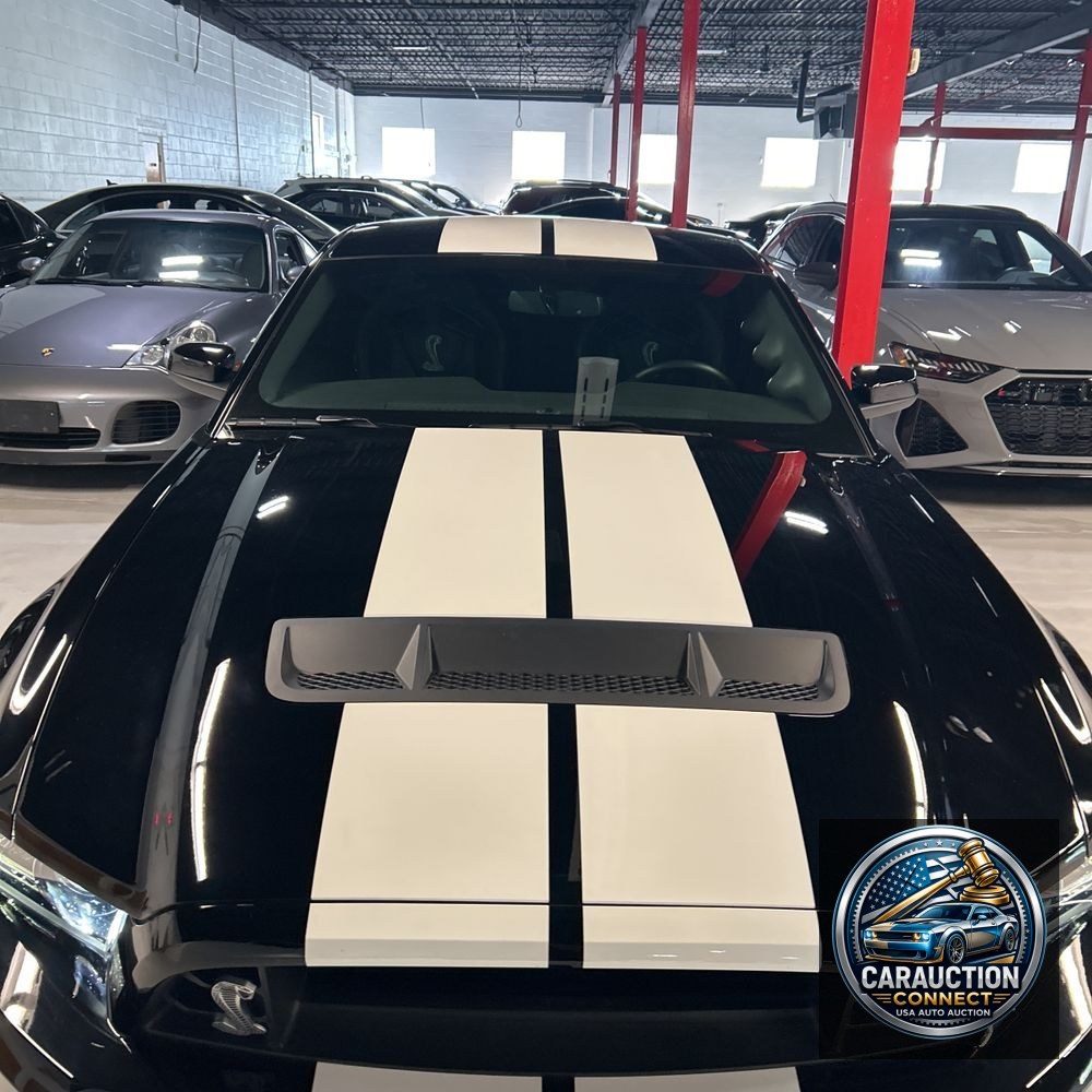 2014 Ford Shelby GT500 Base