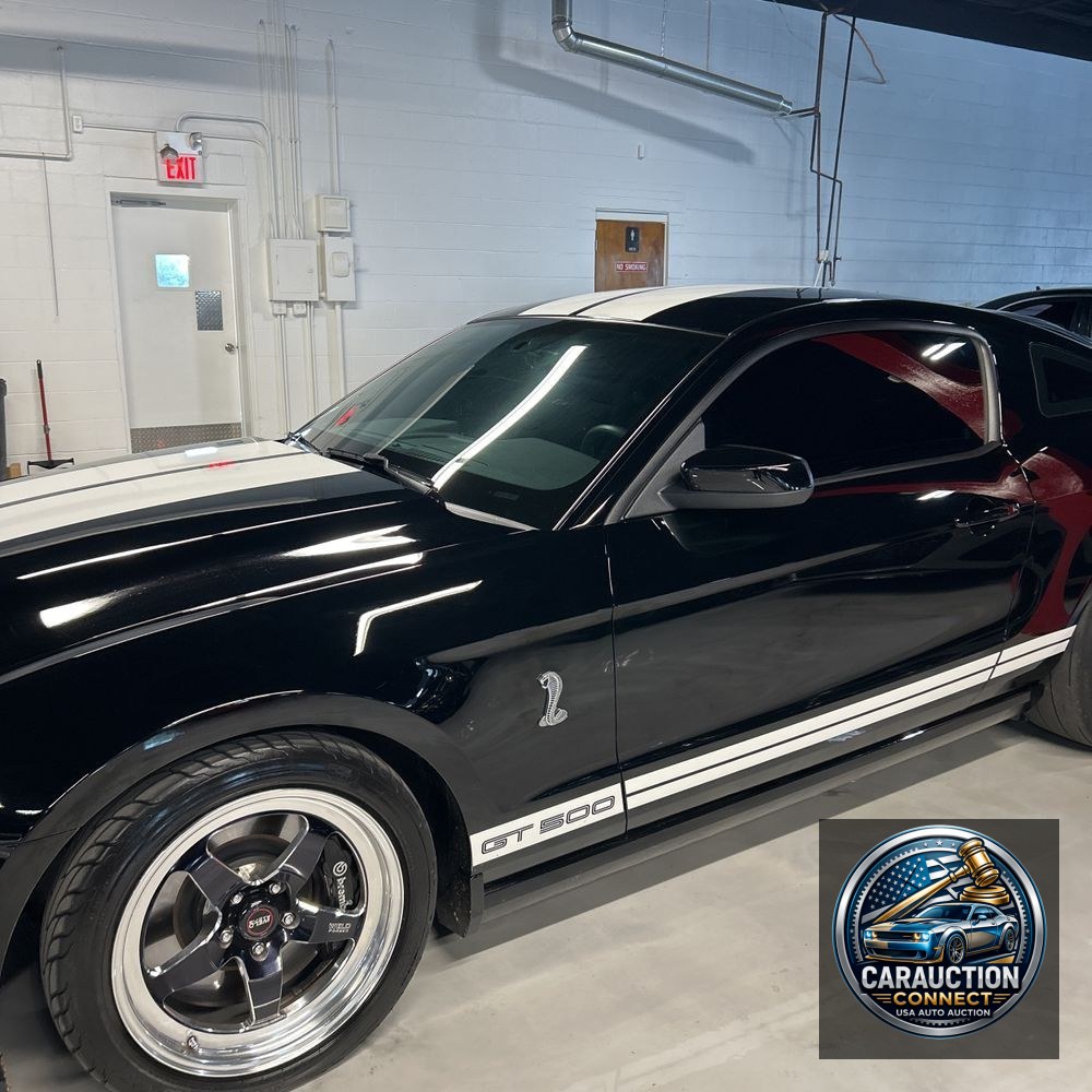 2014 Ford Shelby GT500 Base
