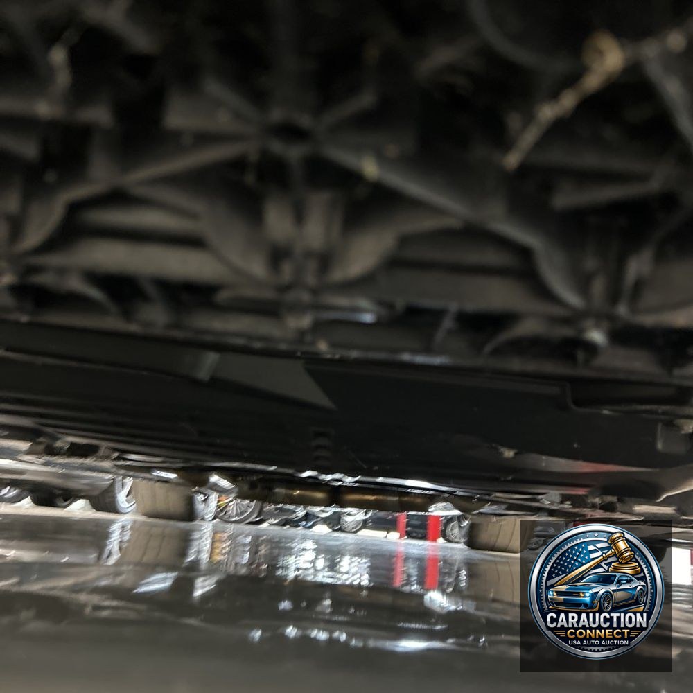 2014 Ford Shelby GT500 Base