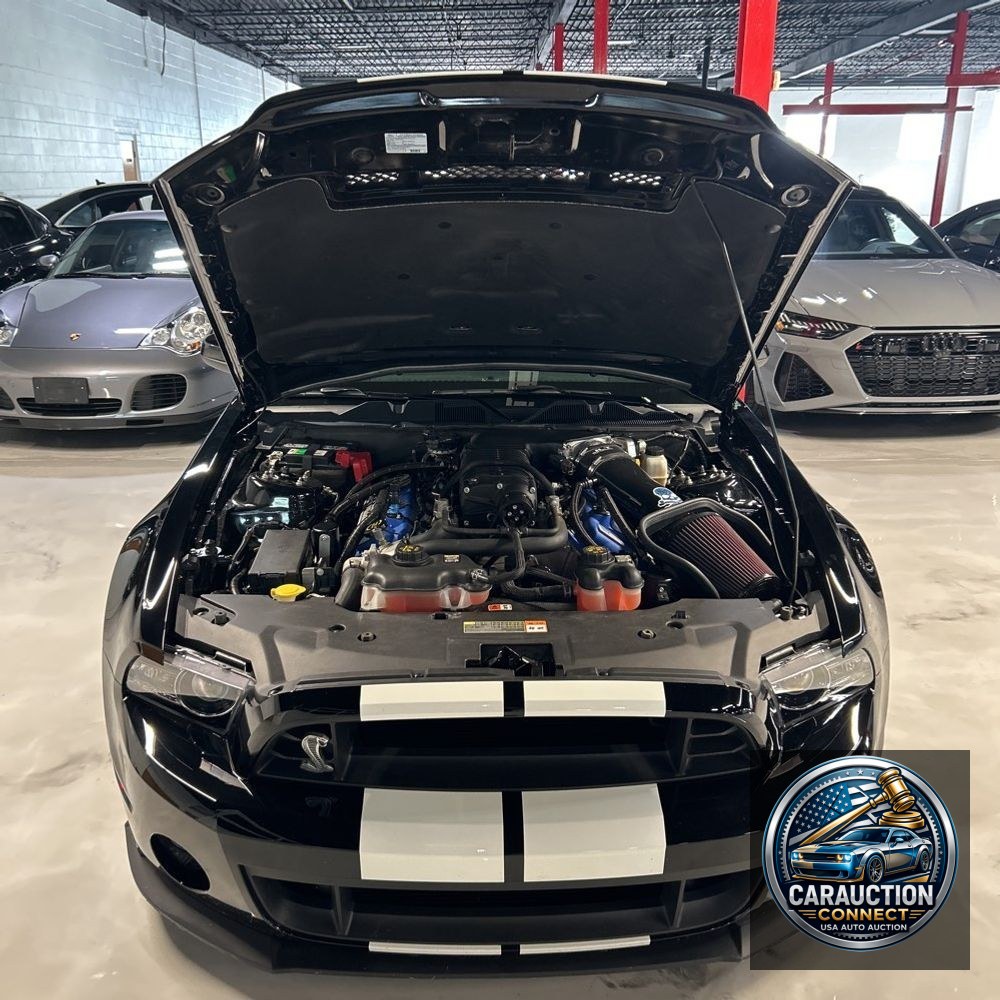 2014 Ford Shelby GT500 Base