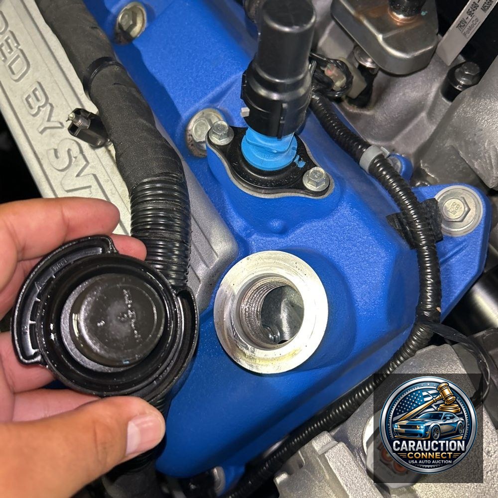 2014 Ford Shelby GT500 Base