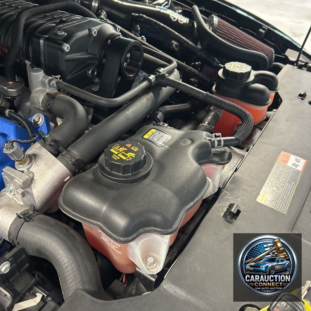 2014 Ford Shelby GT500 Base