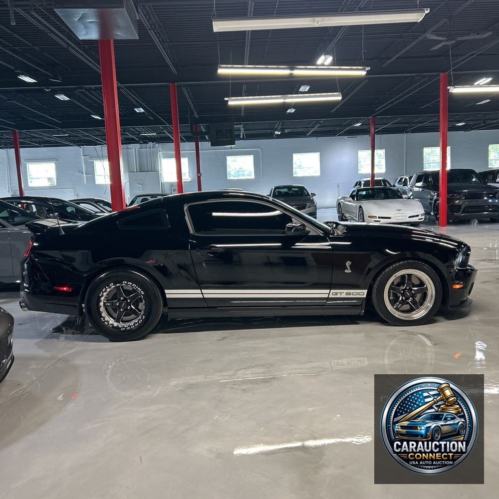 2014 Ford Shelby GT500 Base