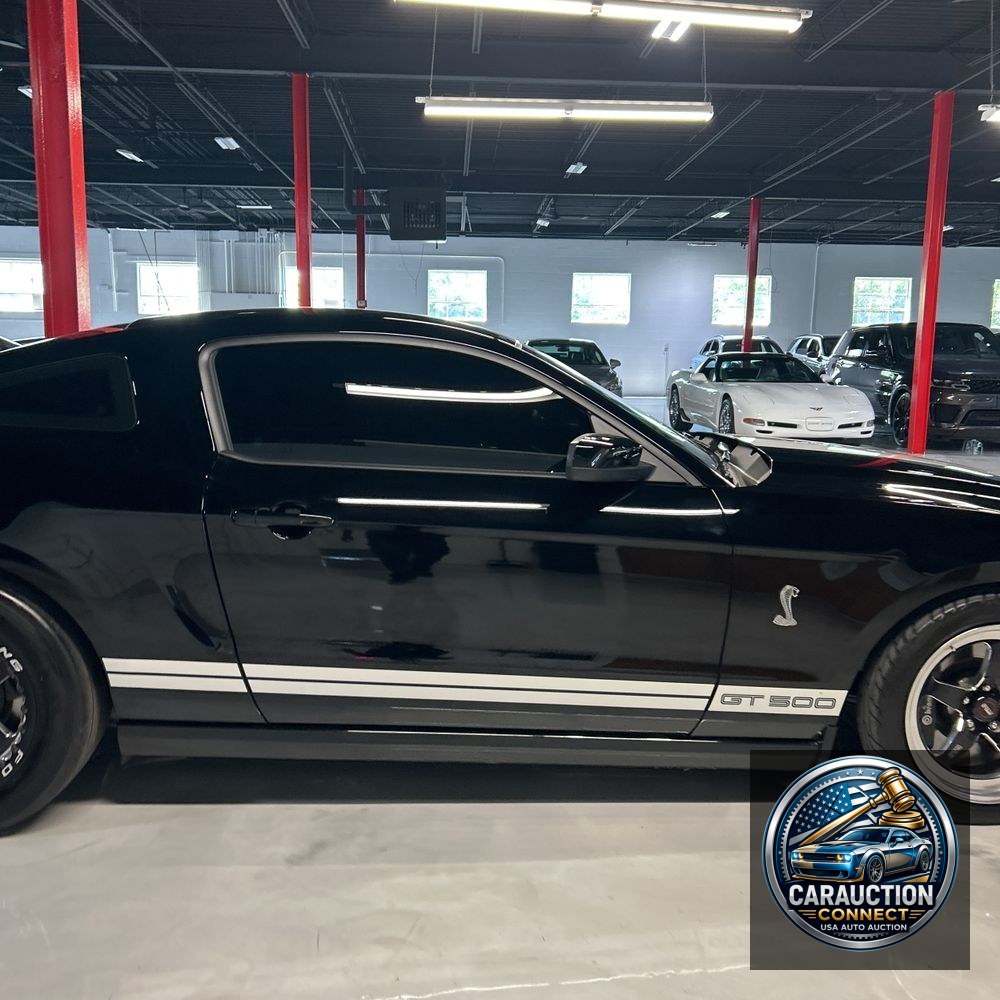 2014 Ford Shelby GT500 Base