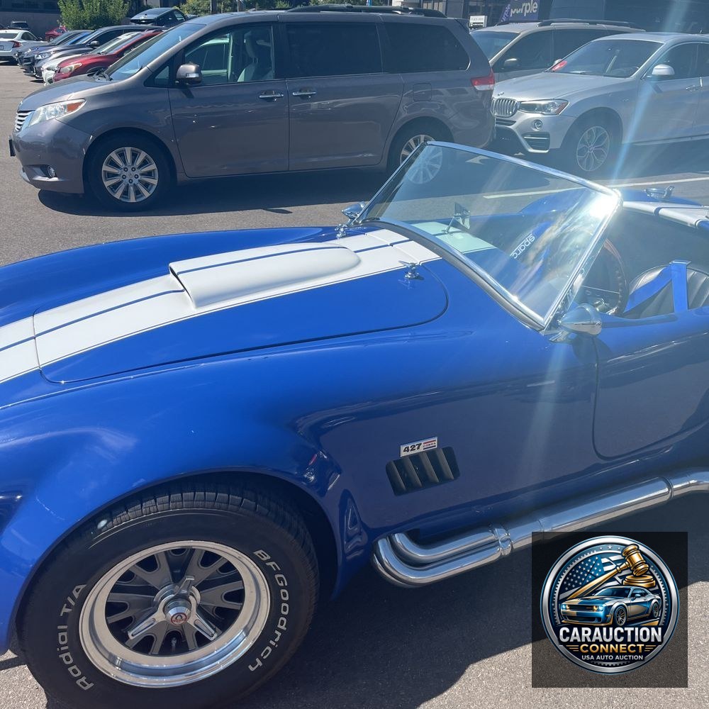 1967 Ford Cobra Shelby Cobra
