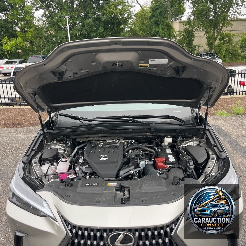 2025 Lexus NX 350 Base