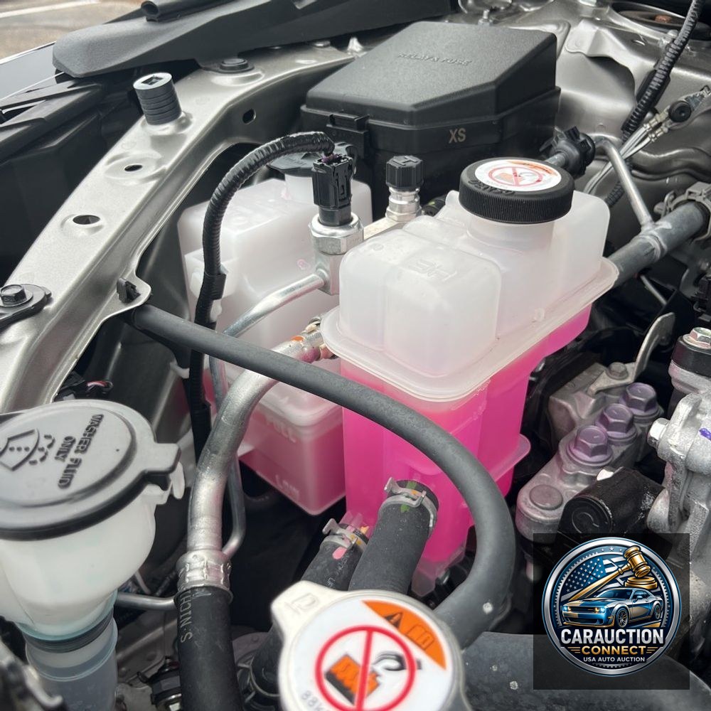 2025 Lexus NX 350 Base