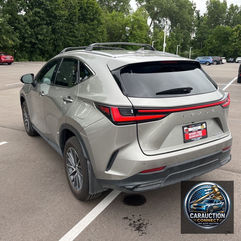 2025 Lexus NX 350 Base