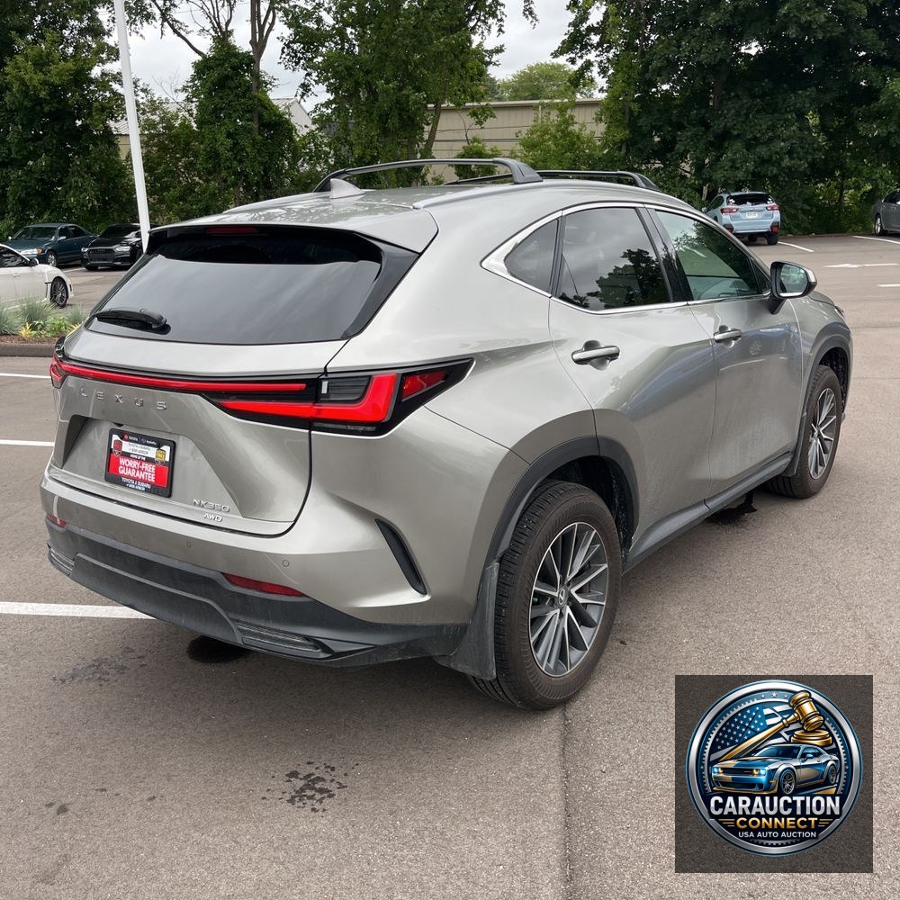 2025 Lexus NX 350 Base
