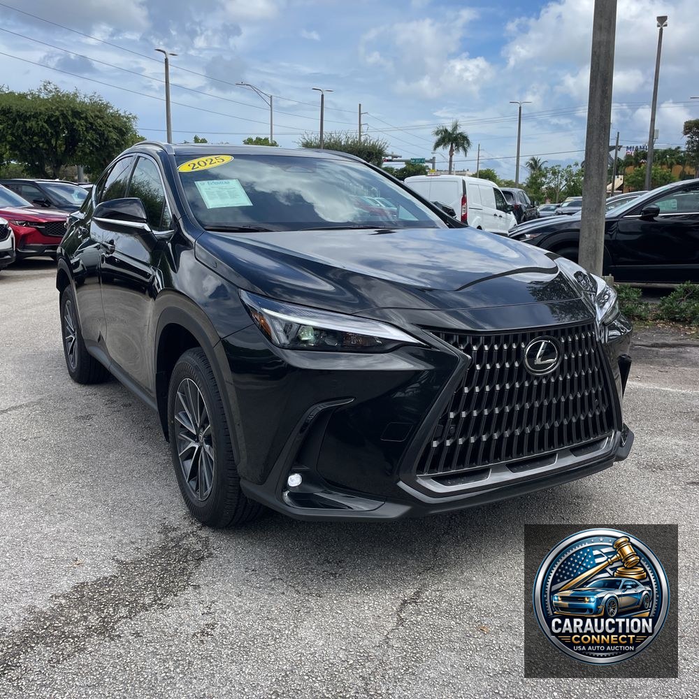 2025 Lexus NX 350h Base