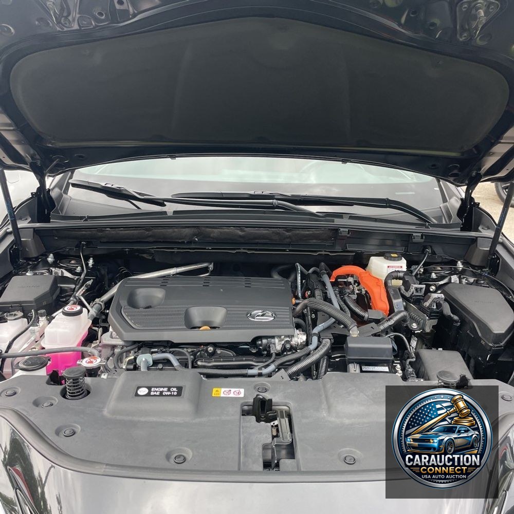 2025 Lexus NX 350h Base