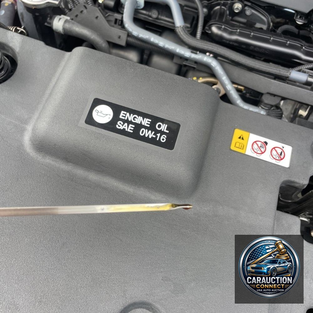 2025 Lexus NX 350h Base