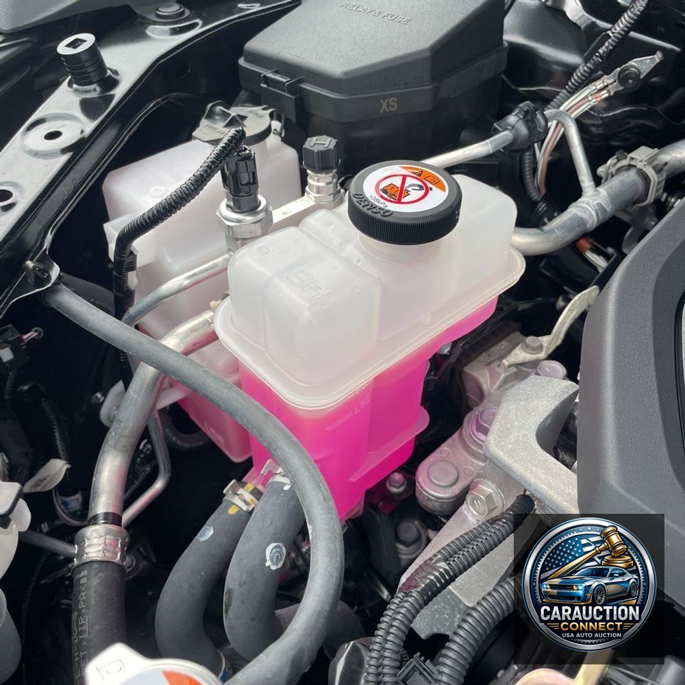 2025 Lexus NX 350h Base