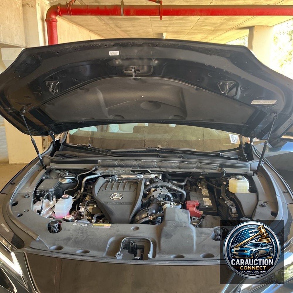 2023 Lexus RX 350 Premium