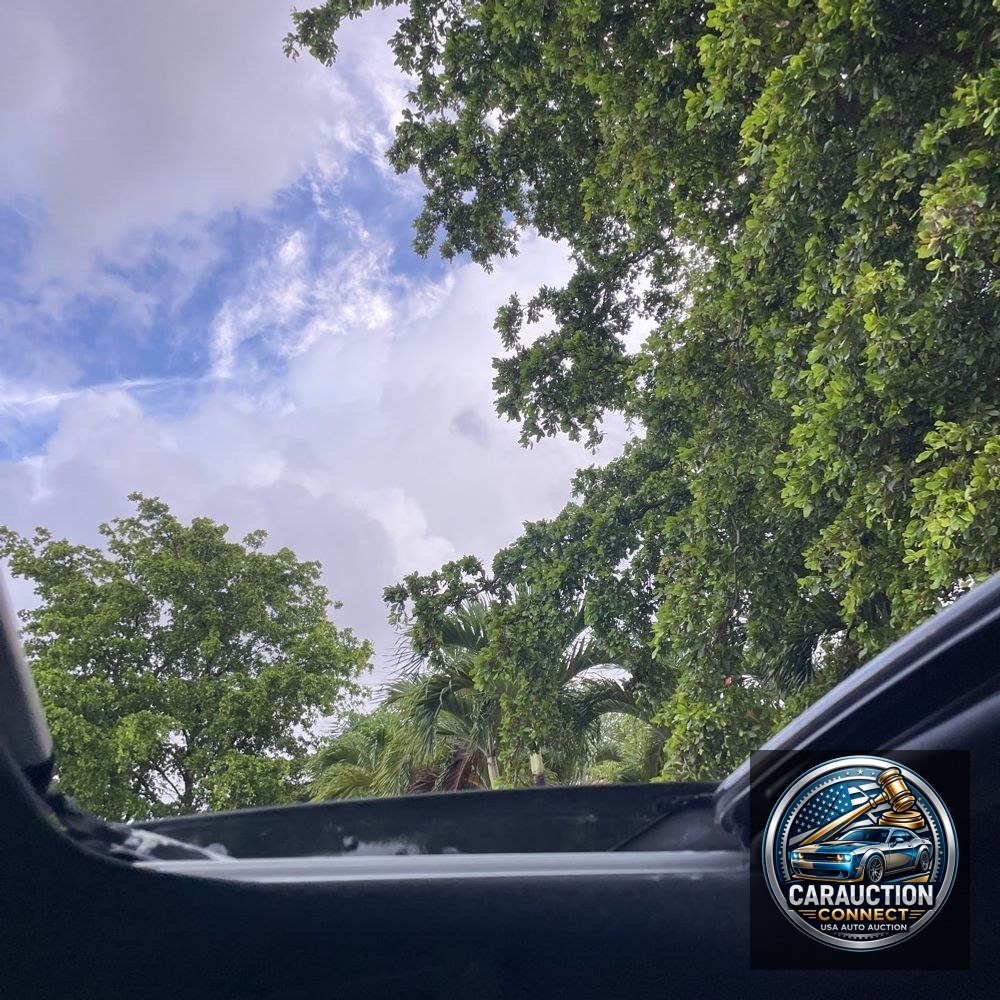 2024 Lexus RX 350 Premium+