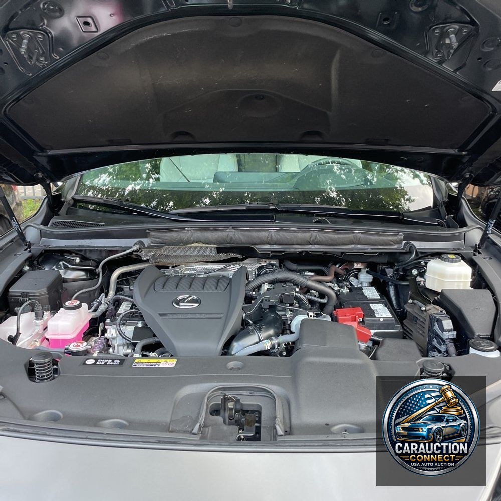 2024 Lexus RX 350 Premium+