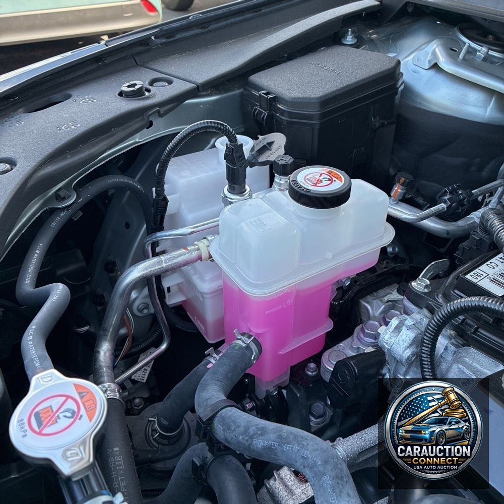 2024 Lexus RX 350 Base