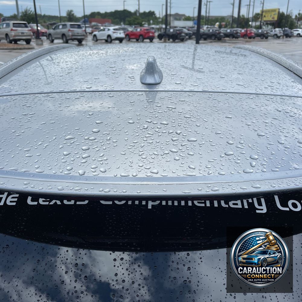 2024 Lexus RX 350 Premium+