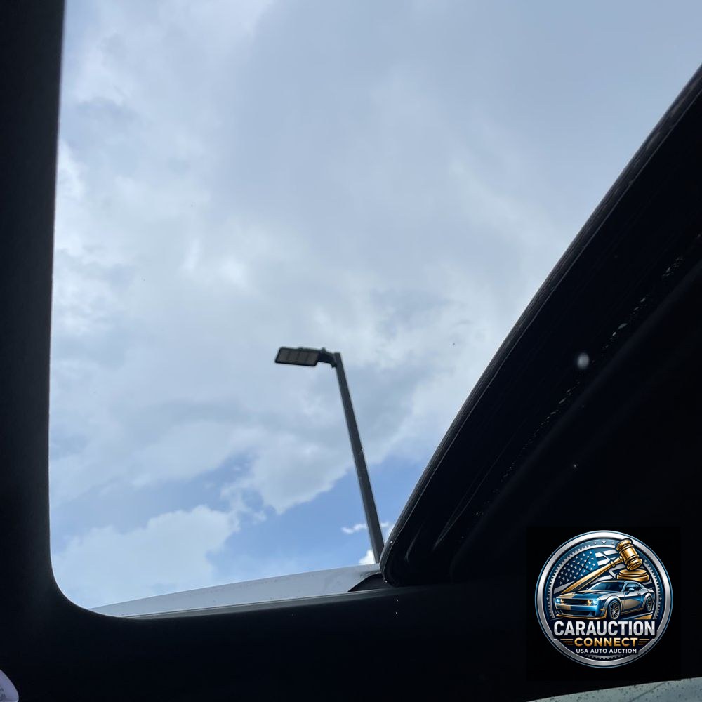 2024 Lexus RX 350 Premium+