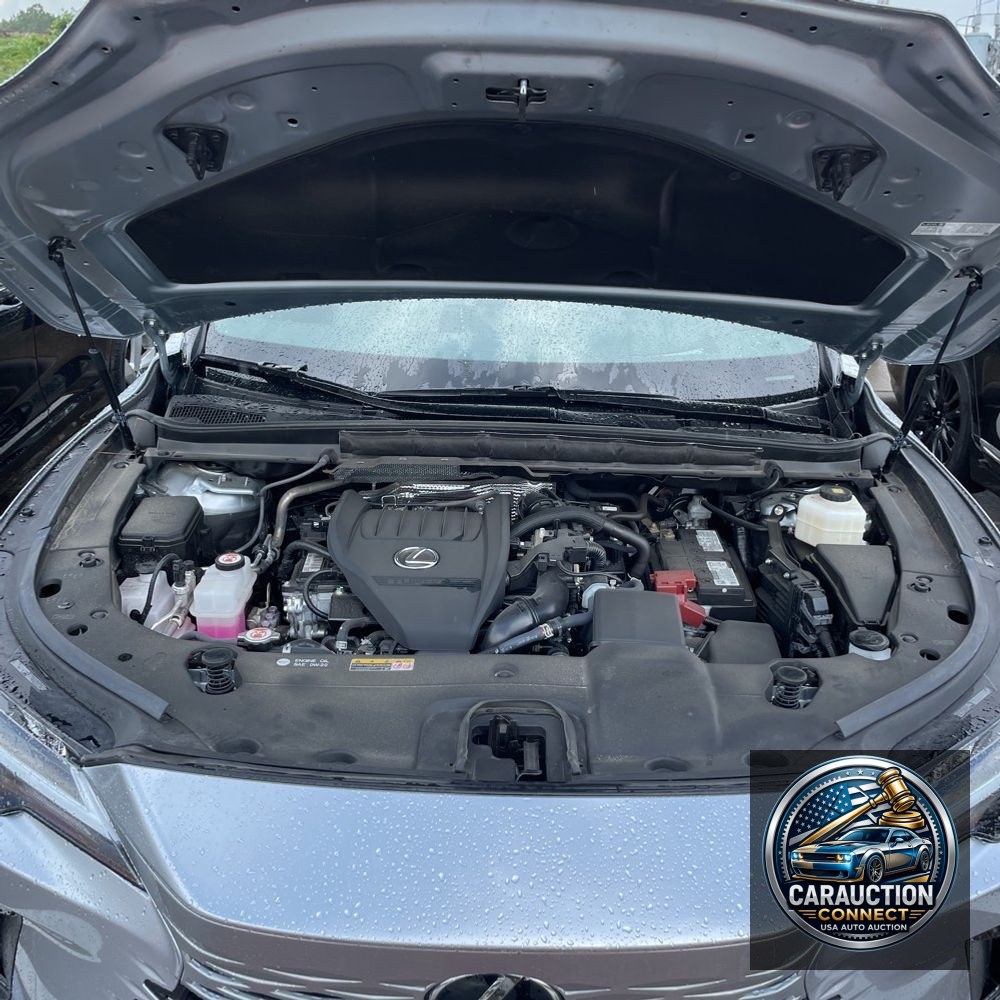 2024 Lexus RX 350 Premium+