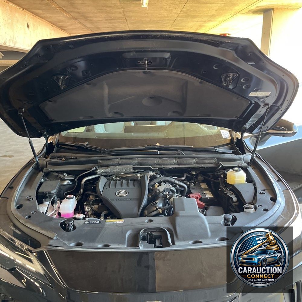 2024 Lexus RX 350 Premium