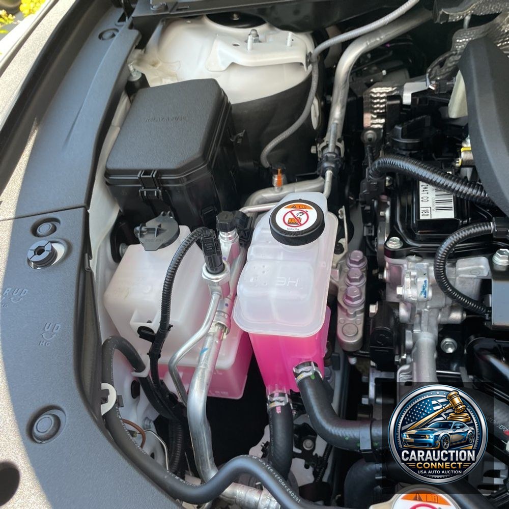 2024 Lexus RX 350 Base