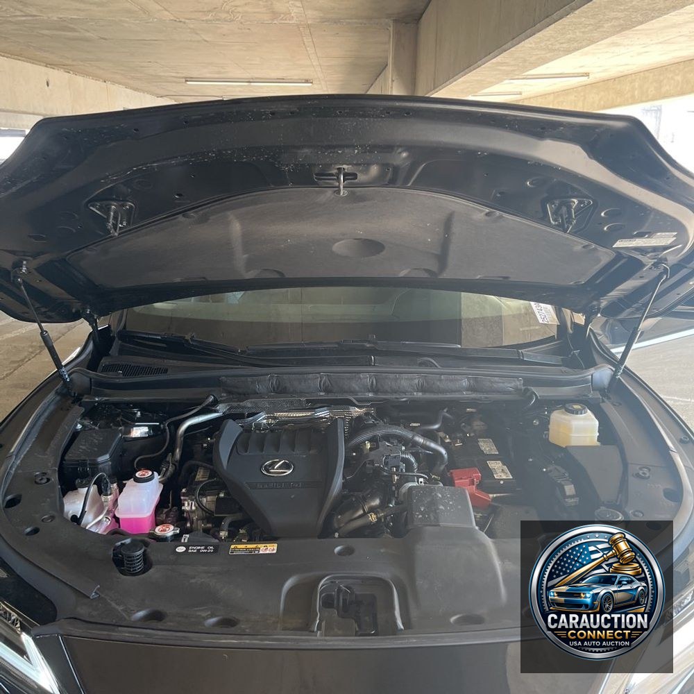 2024 Lexus RX 350 Base
