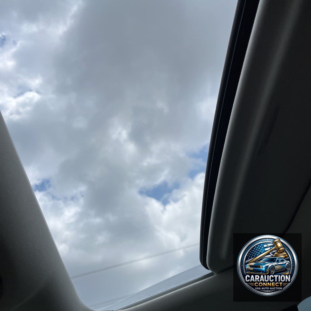 2024 Lexus RX 350 Premium+