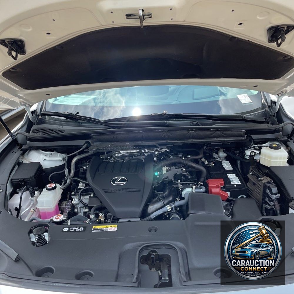 2024 Lexus RX 350 Premium+