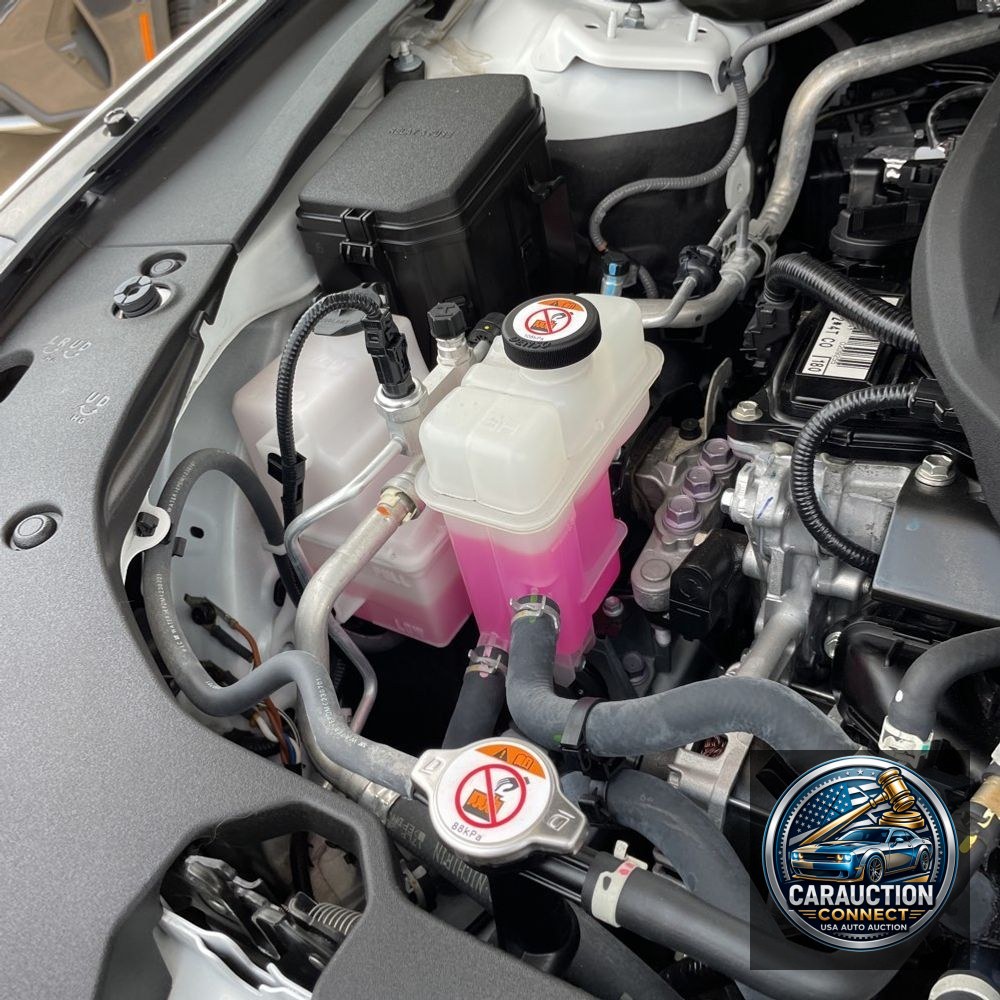 2024 Lexus RX 350 Premium+