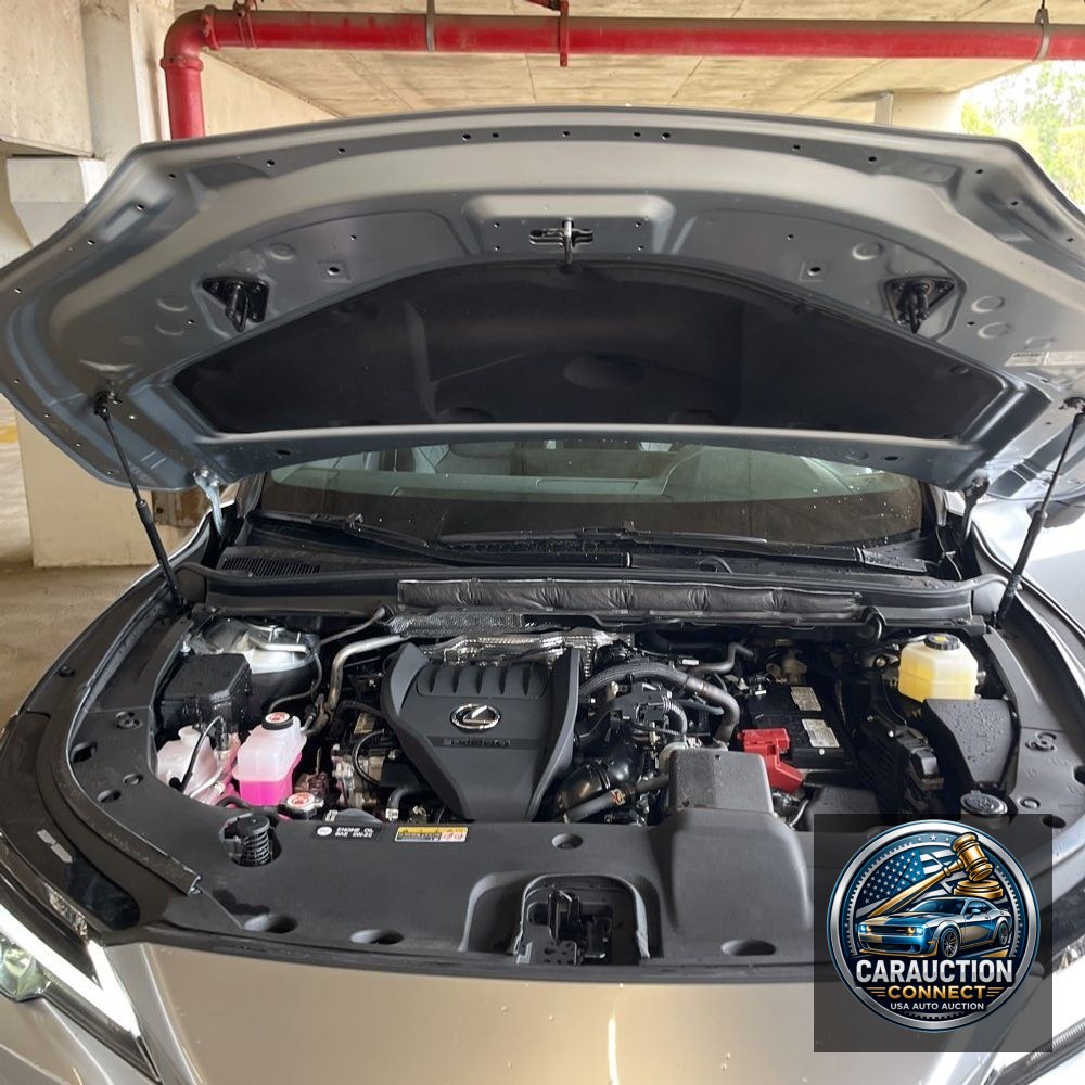 2024 Lexus RX 350 Premium