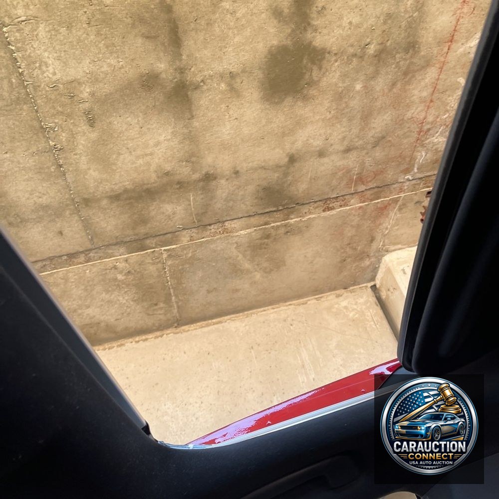 2024 Lexus RX 350 Base