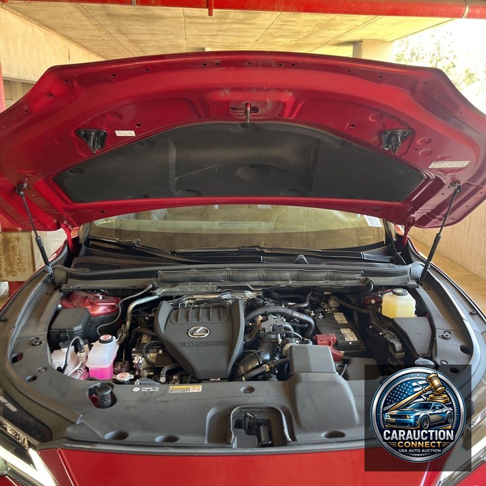 2024 Lexus RX 350 Base