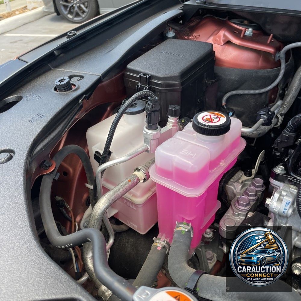 2023 Lexus RX 350 Premium+