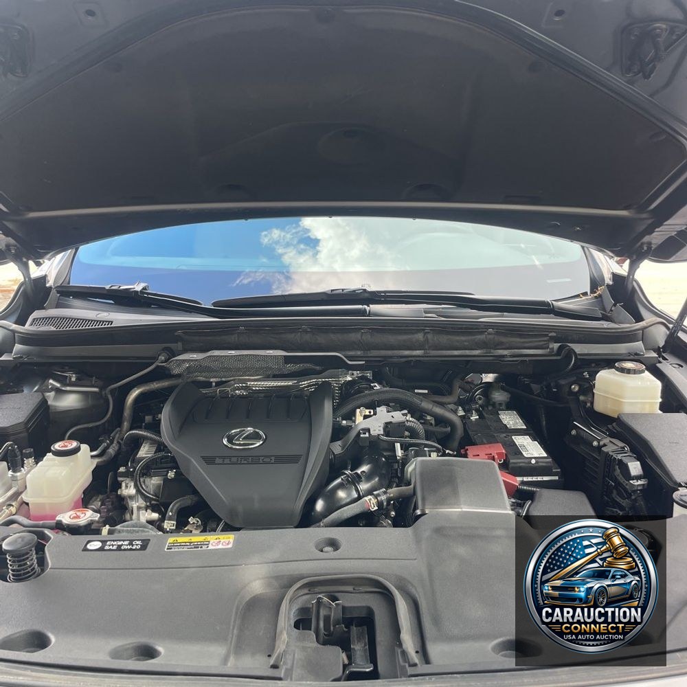 2023 Lexus RX 350 Premium