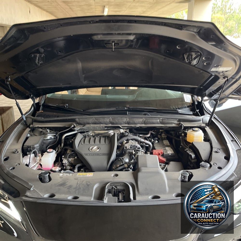 2024 Lexus RX 350 Premium