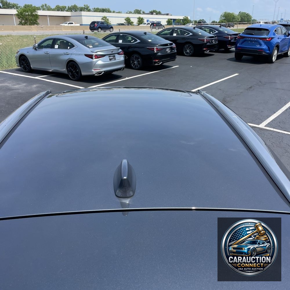 2024 Lexus RX 350 Premium+