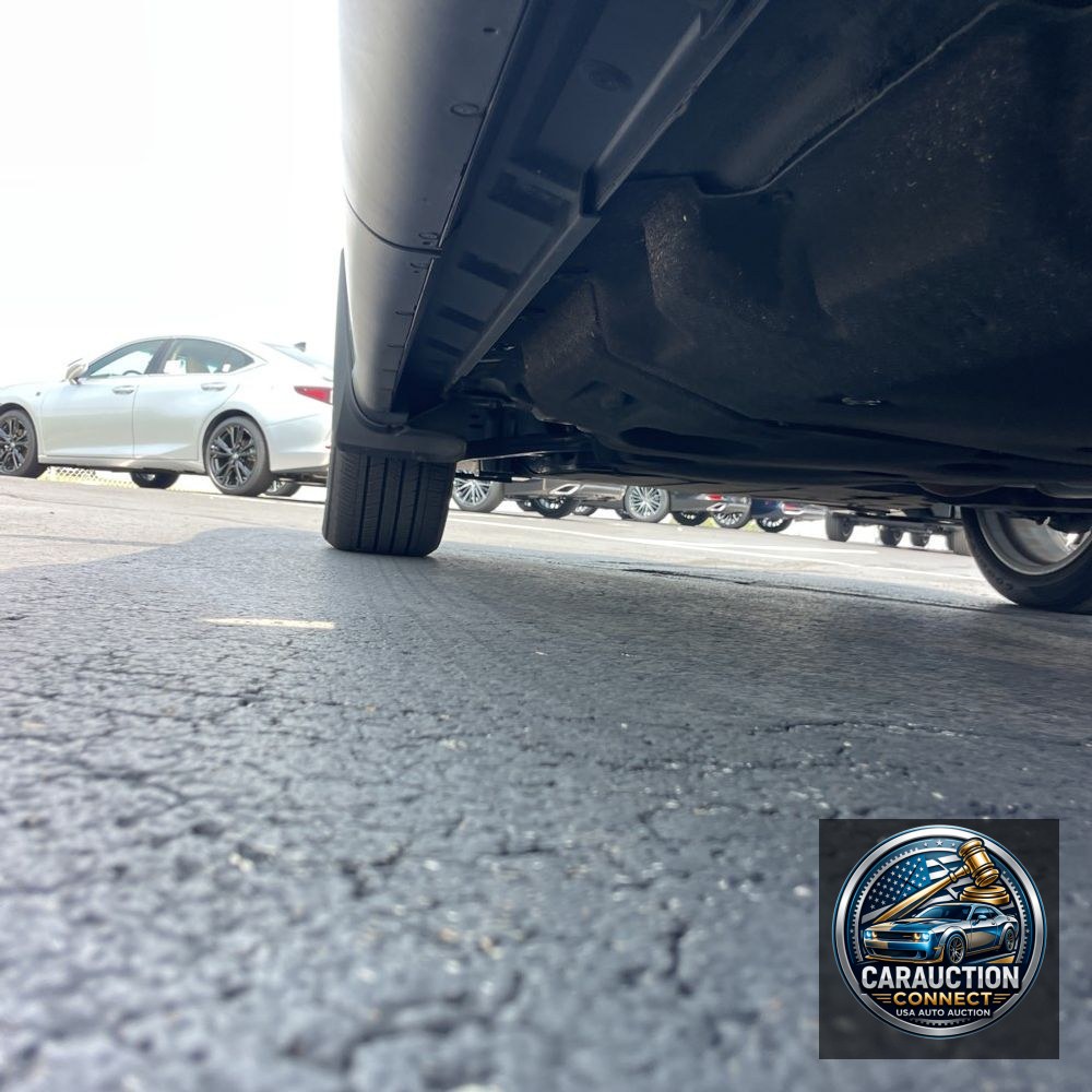 2024 Lexus RX 350 Premium+